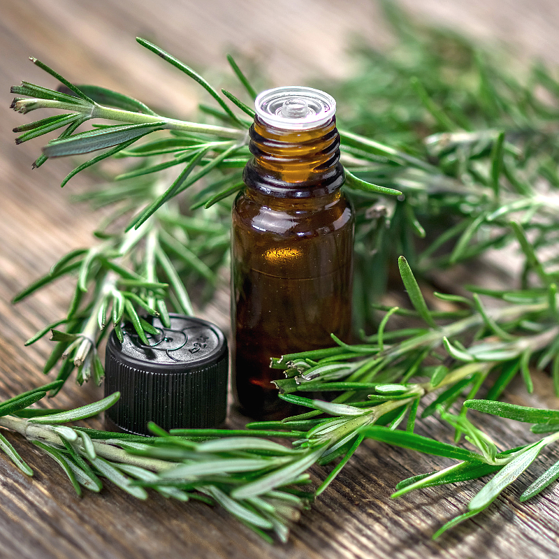 rosemary essential oil benefits