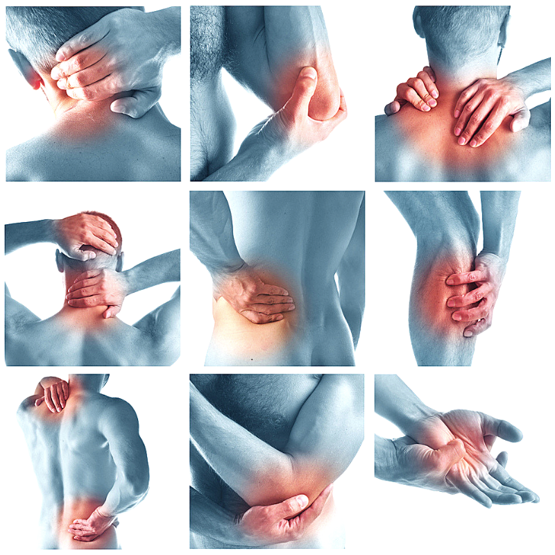 holisticlifemarbella